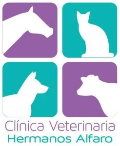 1503951847 Guanacaste   Veterinaria Hermanos Alfaro 246x300