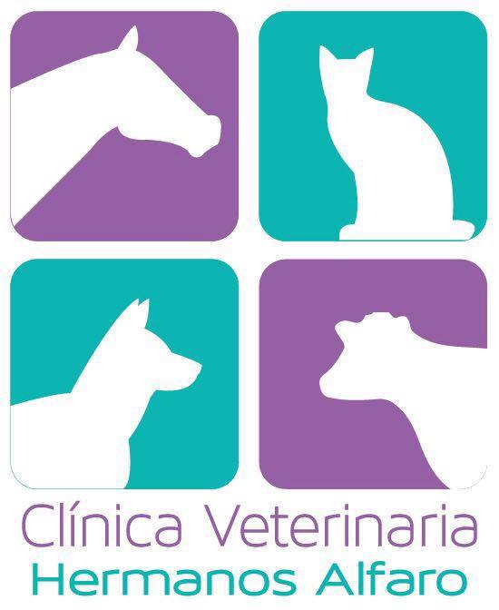 1503951847 Guanacaste   Veterinaria Hermanos Alfaro