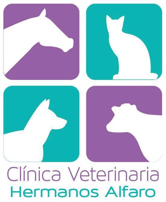 1503951847 Guanacaste   Veterinaria Hermanos Alfaro