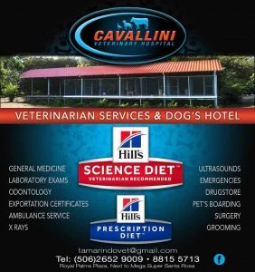 1503939496 Guanacaste   Hospital Veterinario Cavallini 282x300
