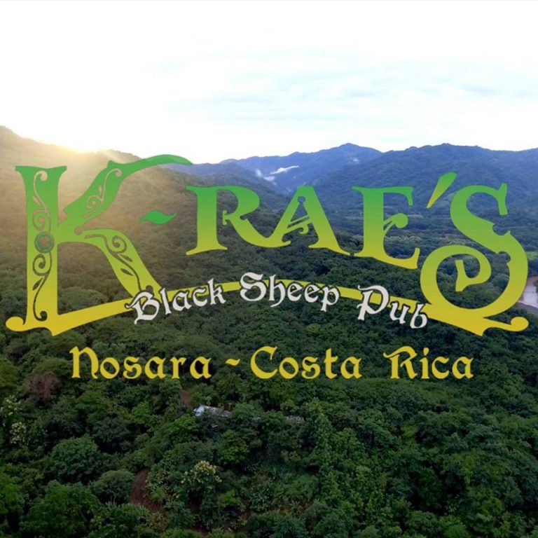 1503642423 Nosara    K Raes Black Sheep 768x768