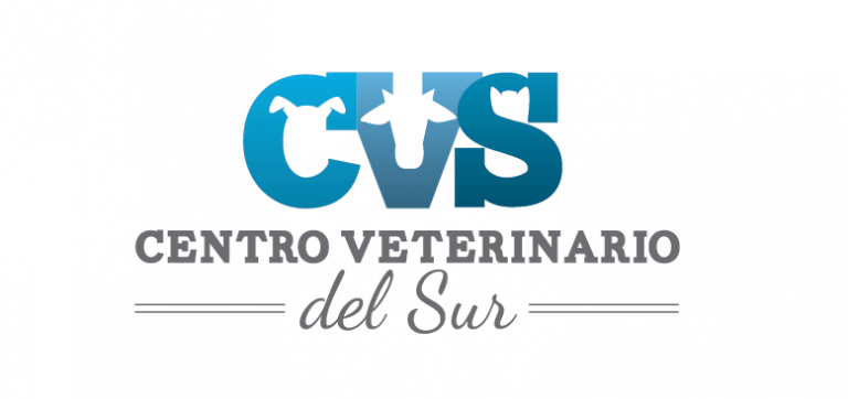 1503937961 Puntarenas   Centro Veterinario Del Sur 768x362
