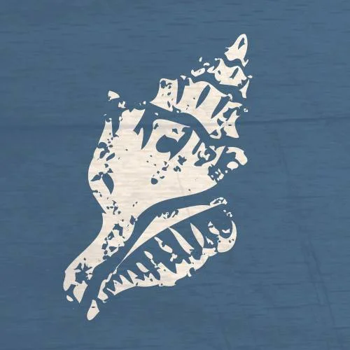 1499226652 Paradise Medical Services Nosara Costa Rica