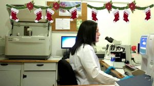 10426212 728229433922293 5540242160216740232 n 300x169