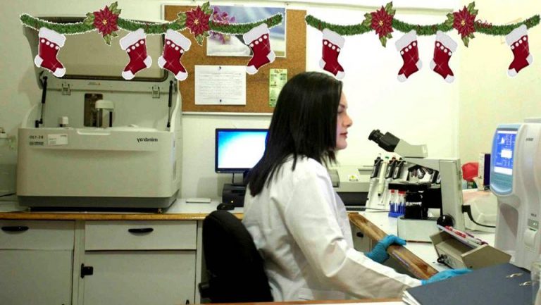 10426212 728229433922293 5540242160216740232 n 768x433