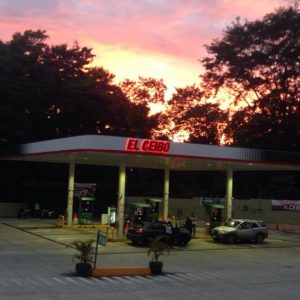 10868226 810704042322449 2908095588790038263 n 300x300