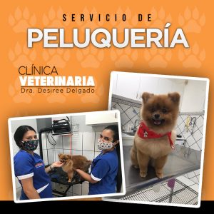 122440857 3718408108183508 764804501007814640 n 300x300