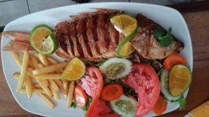 12291234 168625556825036 3830264552610583973 o 300x169