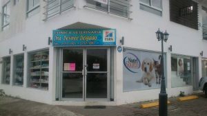 1237147 643431299014553 1340630442 n 300x169