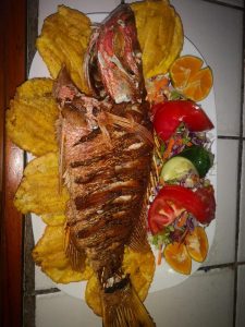 130709838 2698070487125341 3140624678800125911 n 225x300