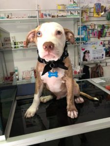 134097 Dr. Martinez3 225x300