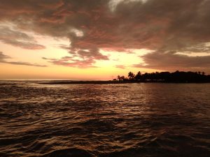 157905444 2755928908006165 6072129302122772481 o 300x225