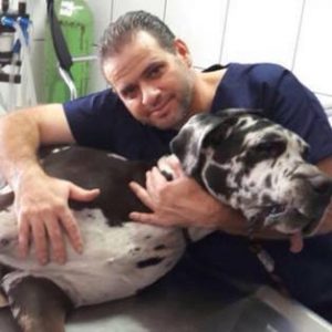 29258486 1752869868068741 7979899051231766710 n 300x300