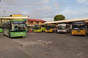 49836476441 0dd816c8dc b 300x200