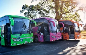 55823783 694228684379014 6608802208559398912 n 300x195