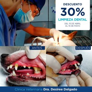 57029059 2394410863916579 2861376048036052992 n 300x300