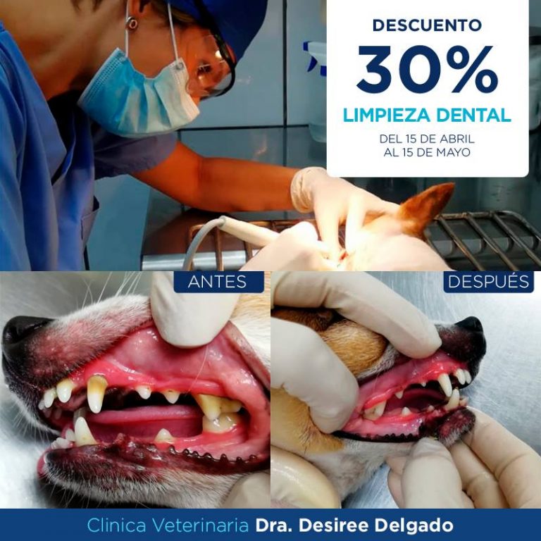 57029059 2394410863916579 2861376048036052992 n 768x768