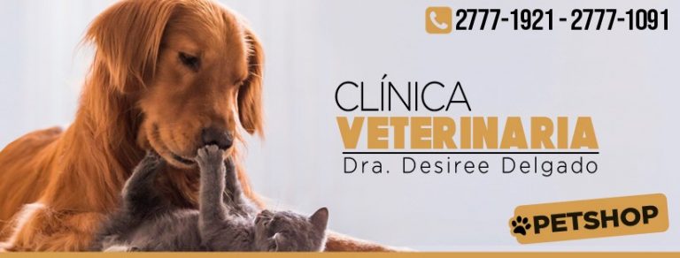 70143869 2664257326931930 6568810823173537792 n 768x292