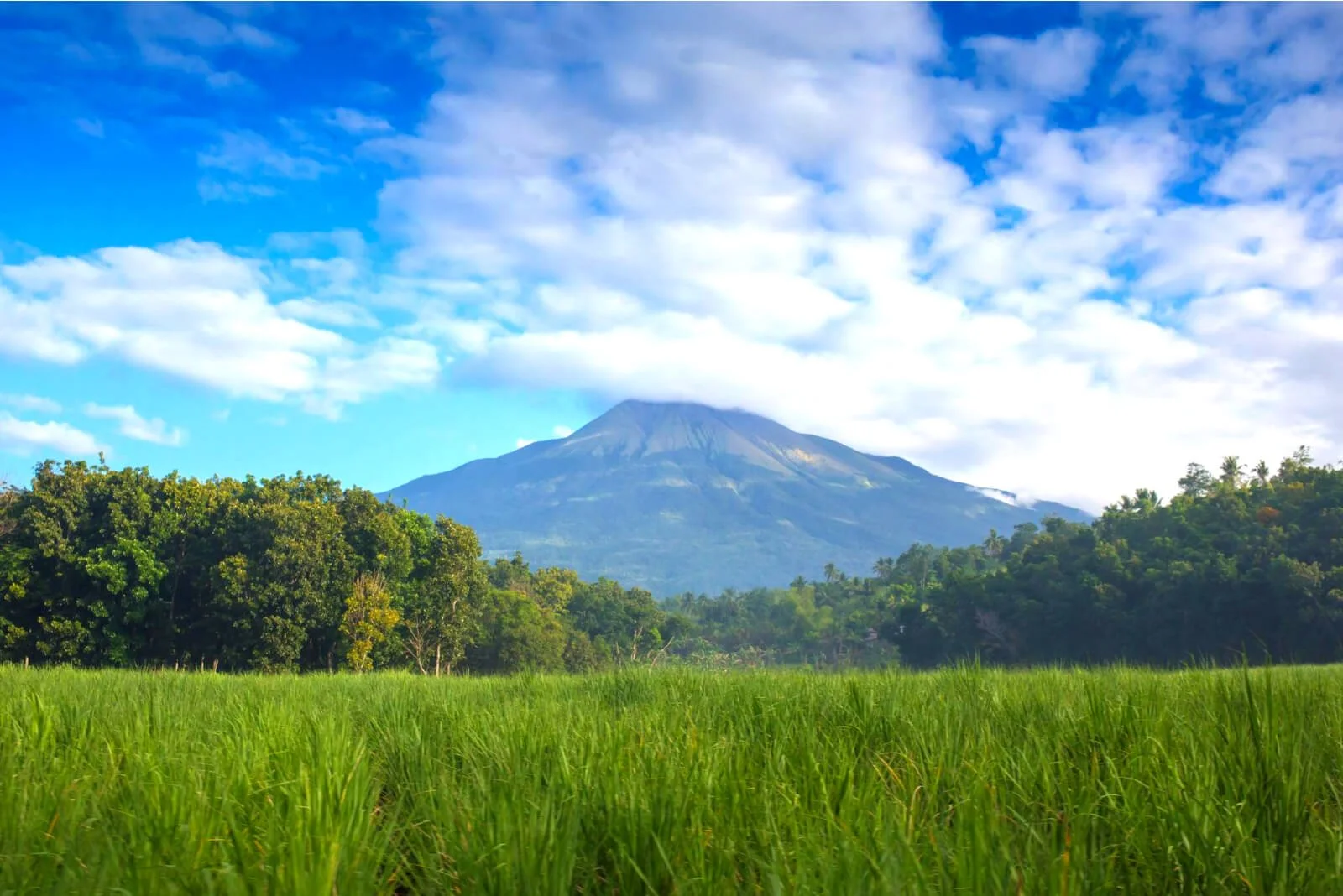 Arenal Volcano Costa Rica-82663512