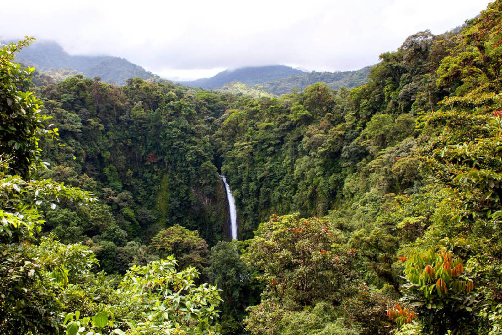 La Fortuna Waterfall-215330694