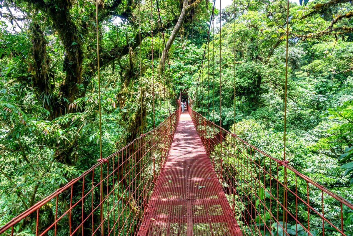 Monteverde Cloud Bridges-151224270 (1)