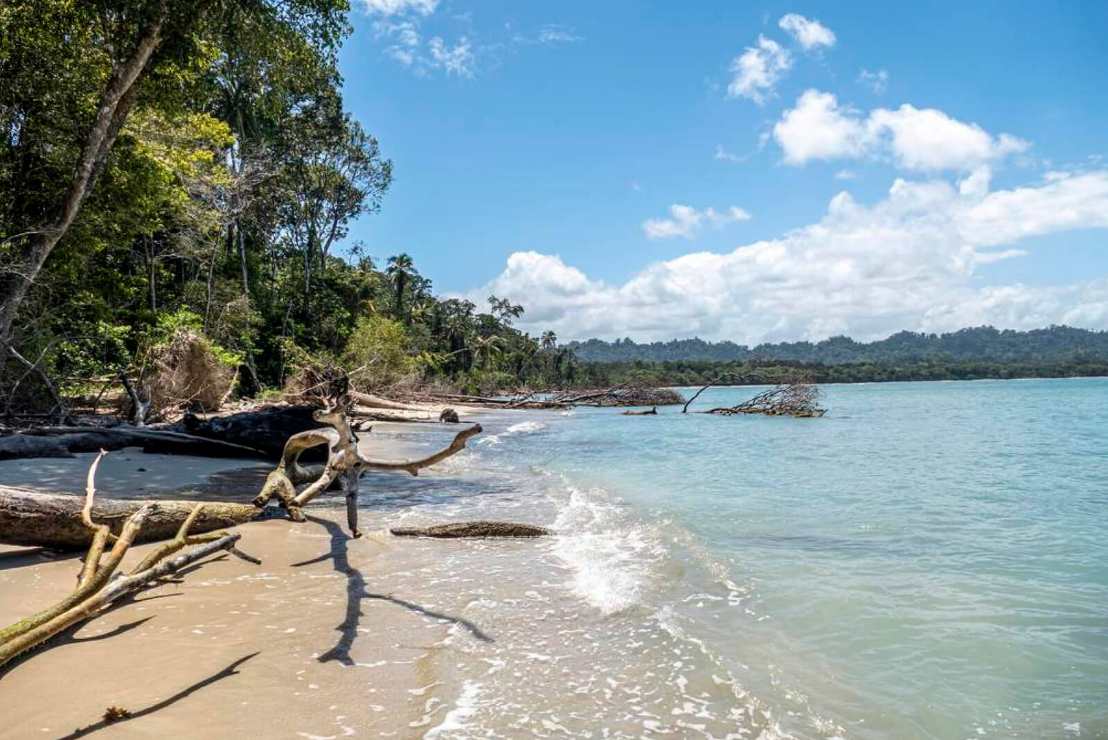 Sandy Beach in Cahuita-345470978