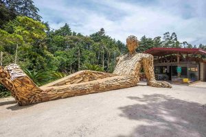 Selina Monteverde Meero Art 300x200