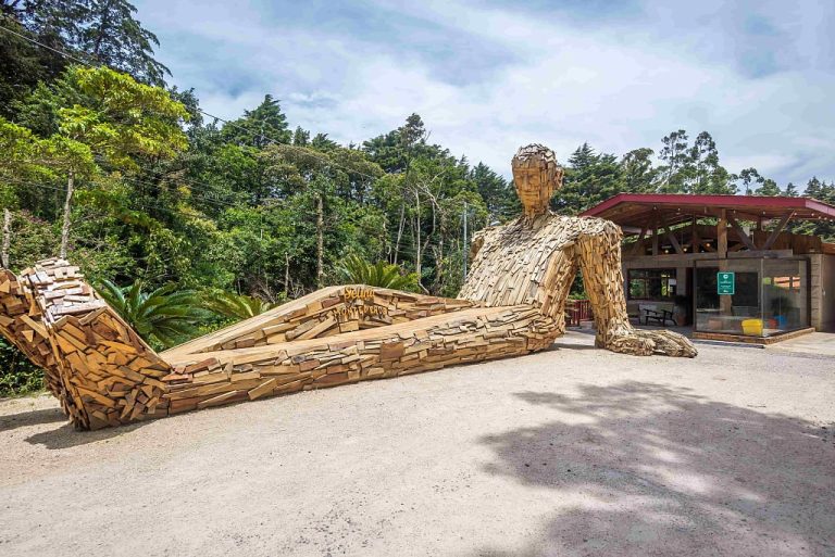 Selina Monteverde Meero Art 768x513