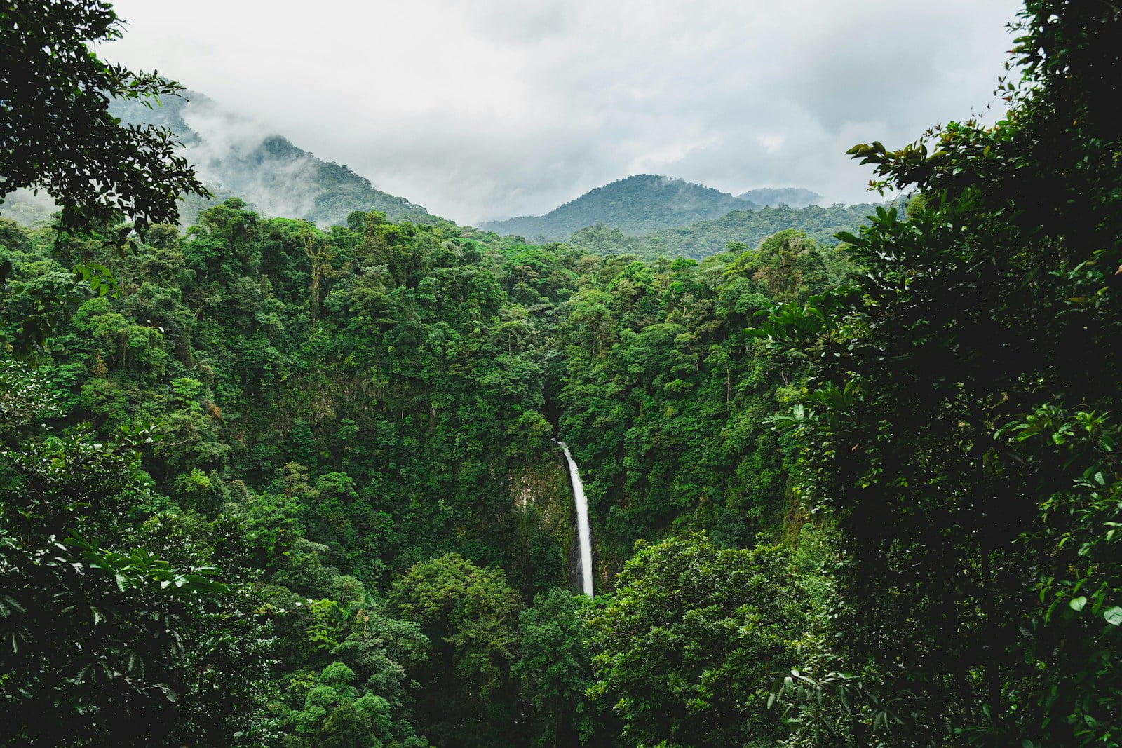 green trees on mountain under white clouds during daytime in Costa Rica
